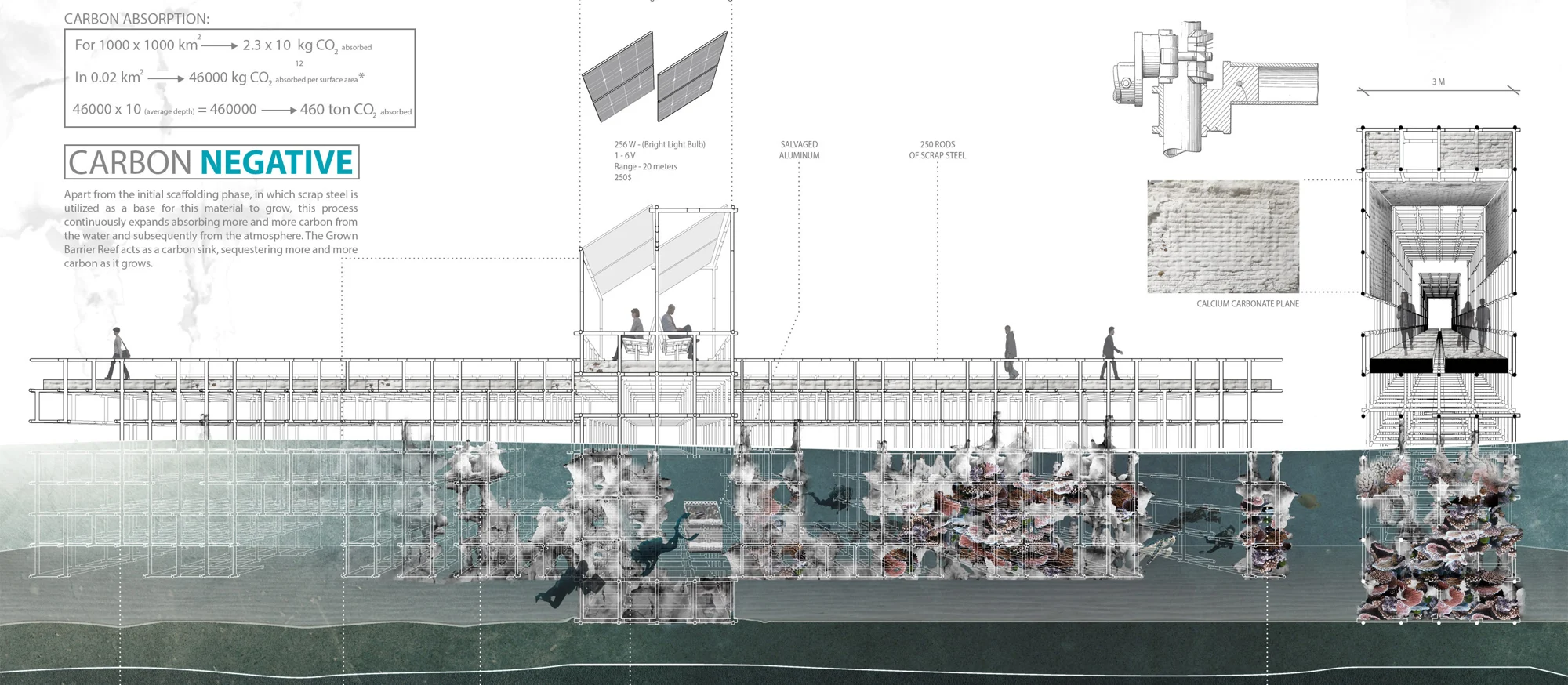 Grown Barrier Reef — photograph, drawing or design study 2
